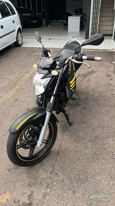 Yamaha Fazer YS250 LE EDITION — foto 5